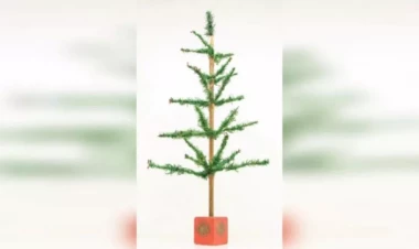 Qəpiklərlə alınan dünyanın ən maraqlı YOLKASI - 4 min dollara satıldı - FOTOlar