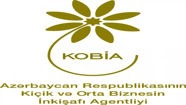 Lerik rayonunda sahibkarlarla görüş keçirilib, KOB dostu rayonun biznes ictimaiyyətinə təqdim edilib - FOTO