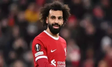 Salaha fantastik təklif