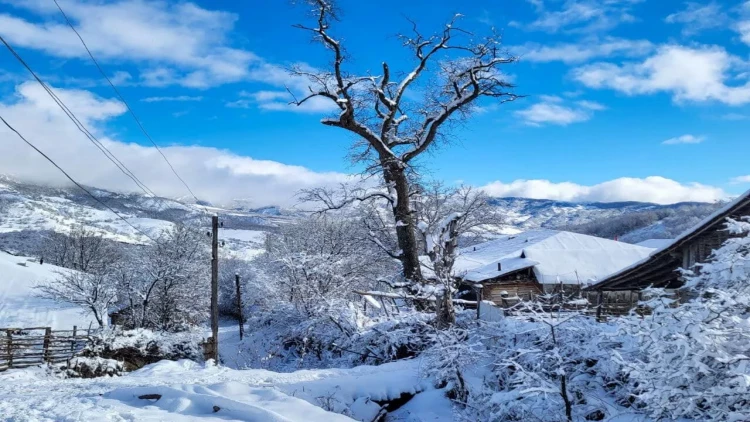 İsmayıllıda qar mənzərələri - FOTO