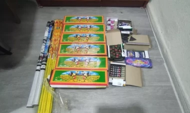 Ağstafada pirotexniki vasitələr və silah-sursat aşkarlandı - FOTO