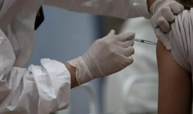 Azərbaycana qızılca ilə bağlı ilin sonunadək vaksinlər gətiriləcək