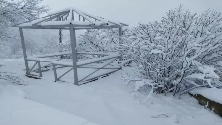 Laçın ağ örpəyə büründü - FOTO