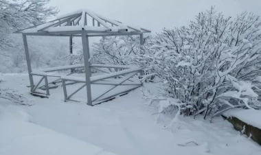 Laçın ağ örpəyə büründü - FOTO