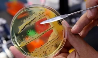 Bu ölkədə epidemiya yayıldı, ölənlər var