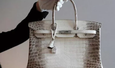 Sumqayıtda qadının çantasından patron aşkarlandı