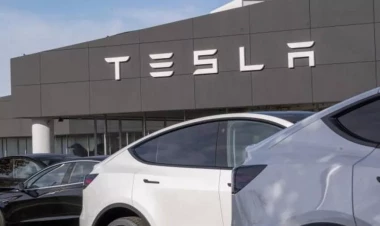 “Tesla” Meksikada bu güzəştlərdən yararlanacaq