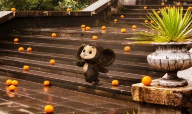 “Çeburaşka” filminin davamı ekranlara qayıdır