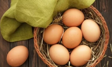 Yumurtanın qiyməti artacaq?