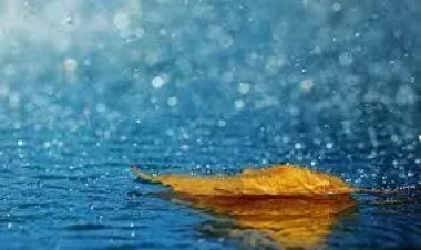 Bu gün yağış yağacaq, külək əsəcək - PROQNOZ