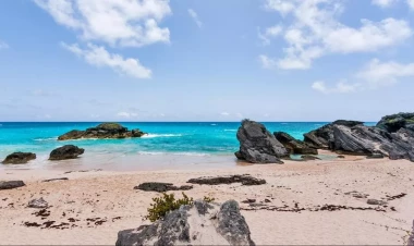 Alimlərdən XƏBƏRDARLIQ: Rekord istiləşmə və duzlaşma...