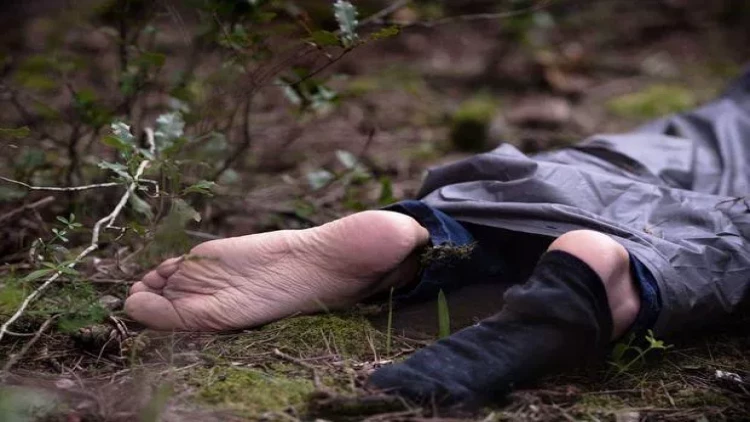 Türkiyəli sürücü Göygöldə öldü