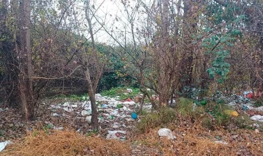 Ətraf mühiti çirkləndirən şəxs məsuliyyətə cəlb olundu