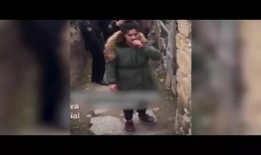 Siyəzəndə pişiklərə işgəncə verdiyi iddia olunan qadının evindən oğurluq edilib? - VİDEO