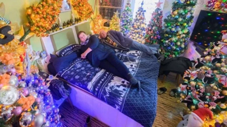 Almaniyada cütlük evində 555 ədəd şam ağacı bəzədi - FOTO