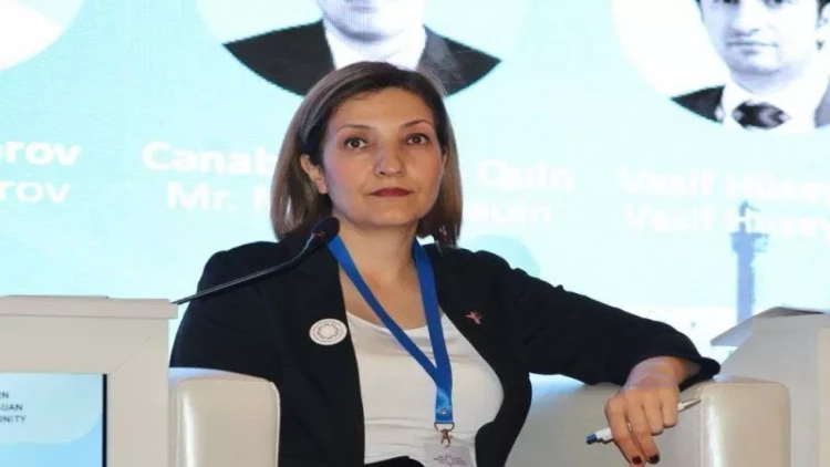 Azərbaycanın tarixi izləri ermənilər tərəfindən bilərəkdən silinib - Türkiyəli professor