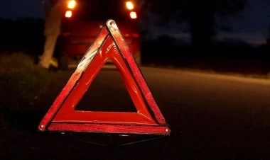 Avtobus ağaca çırpıldı: 14 ÖLÜ