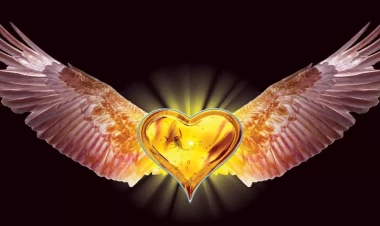 Mömin gərək hər şeyə tez inanmasın