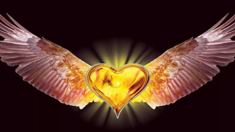 Daşlaşmış, paslanmış, nifaqlı, təəssübkeş ürəklər: bunlardan necə qurtulmaq?