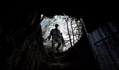 Ukrayna cəbhəyə pişikləri göndərməyə başladı