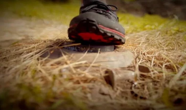 Azərbaycanda mina qurbanlarının 90%-i kişilərdir - BQXK