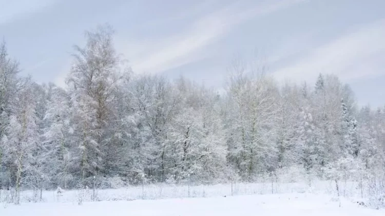 Sibir soyuğu olacaq: - 22 dərəcə şaxta
