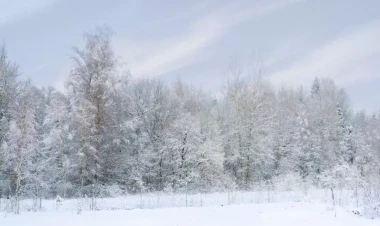 Sibir soyuğu olacaq: - 22 dərəcə şaxta