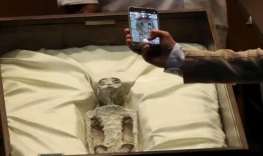 Mumiyalanmış “yadplanetlilərin” qalıqlarında görün nə tapıldı?