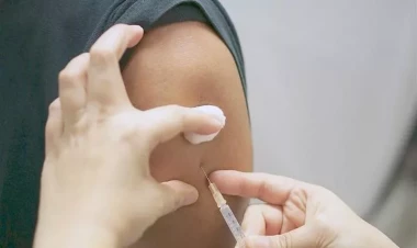 ÜST qorxulu hesabat yaydı: 249 milyon insan...