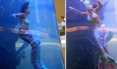 Ticarət mərkəzində 