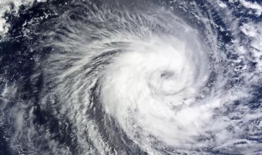 ÜMT: 2023-cü ildə iqlim rekordları qeydə alınıb