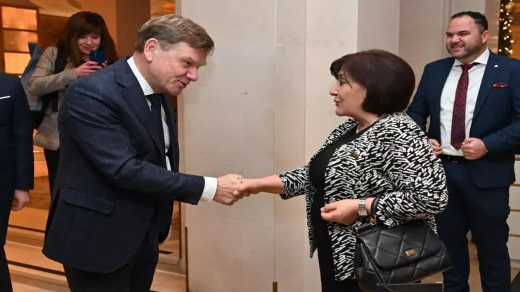 Sahibə Qafarova Bundestaqın Almaniya-Cənubi Qafqaz parlament qrupunun rəhbəri ilə görüşüb - FOTO