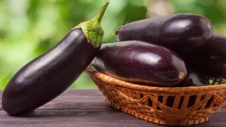 Badımcan sapının bilmədiyiniz xeyri