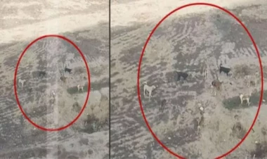 “Qobu Park-2” yaşayış massivinin sakinləri  təhlükə ilə üz-üzədirlər