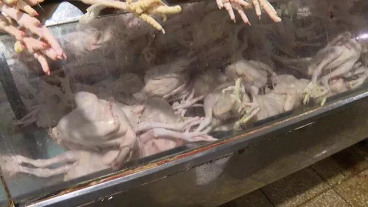 Bəzi məhsulların Azərbaycana idxalı qadağan ediləcək -  VİDEO