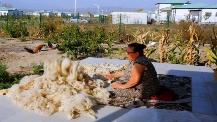 Ağalıda həyat canlanır - VİDEO