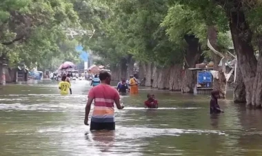 Leysan yüzədək insanın həyatına son qoydu