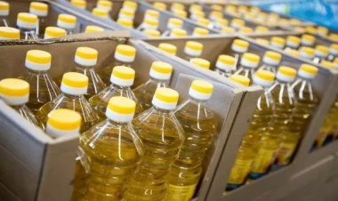 Həm qiyməti, həm də keyfiyyəti azalır: Bitki yağları ilə bağlı ƏSL MƏNZƏRƏ