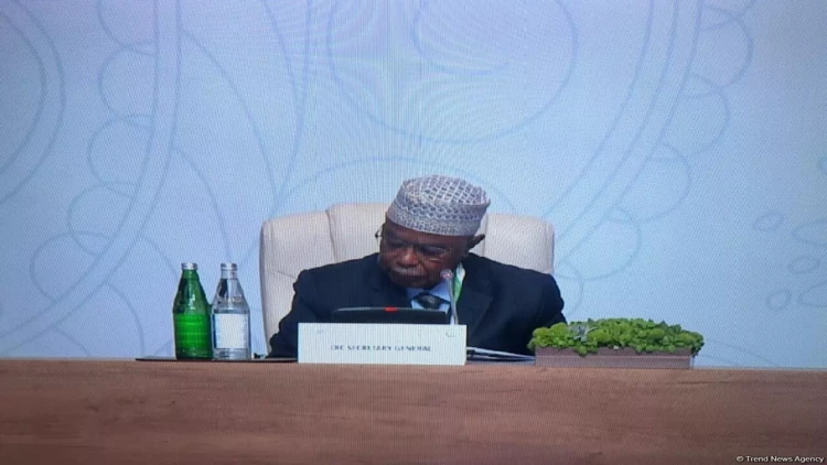 İƏT baş katibi üzv ölkələrə çağırış etdi