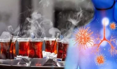 “Çayxor”ların nəzərinə: Qaynar çay XƏRÇƏNG YARADIR