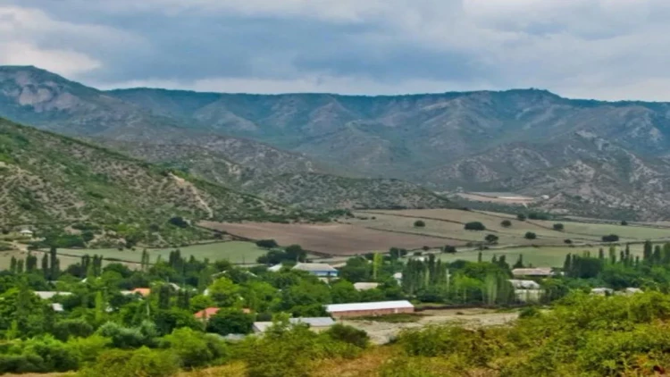 Təbiətə 523 minlik ziyan vuruldu: Prokurorluq...