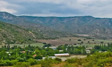 Təbiətə 523 minlik ziyan vuruldu: Prokurorluq...