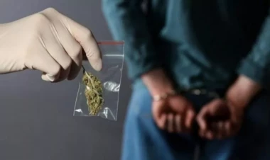 Narkotiklərlə bağlı qanuna dəyişiklik edildi