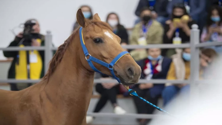 AQTA-nın səlahiyyətləri artırıldı