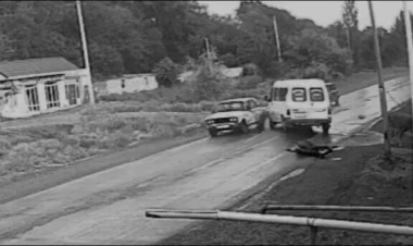 Azərbaycanda yola çıxan heyvan ağır qəzaya səbəb oldu - Anbaan görüntülər