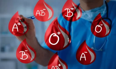 Bu qan qruplarından olanlar DİQQƏT: ölüm halları 3 dəfə ÇOX OLUR