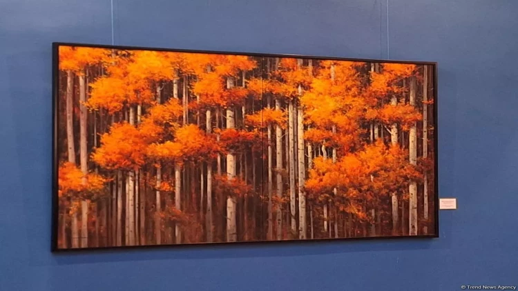 Vədud Müəzzinin “Mistik aləmlər” adlı fərdi sərgisi keçirildi - FOTO