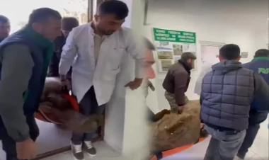 Azərbaycanda ayını xərəkdə həkimə çatdırdılar - VİDEO