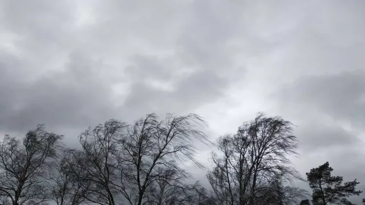 Gəncədə güclü külək fəsadlara səbəb oldu