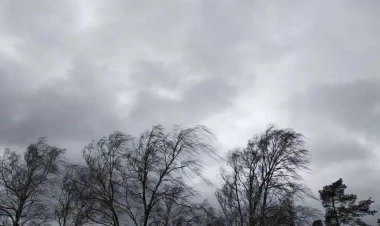 Gəncədə güclü külək fəsadlara səbəb oldu